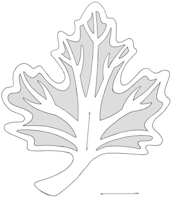 Дубовый лист трафарет для вырезания