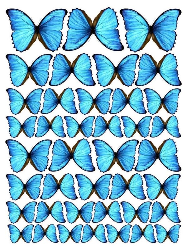 Вафельные бабочки голубые