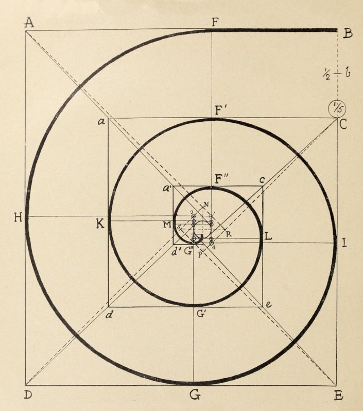 Чертеж улитки для холодной ковки с размерами