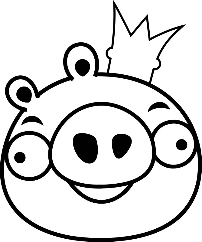 Раскраска Энгри бердз cdbyb