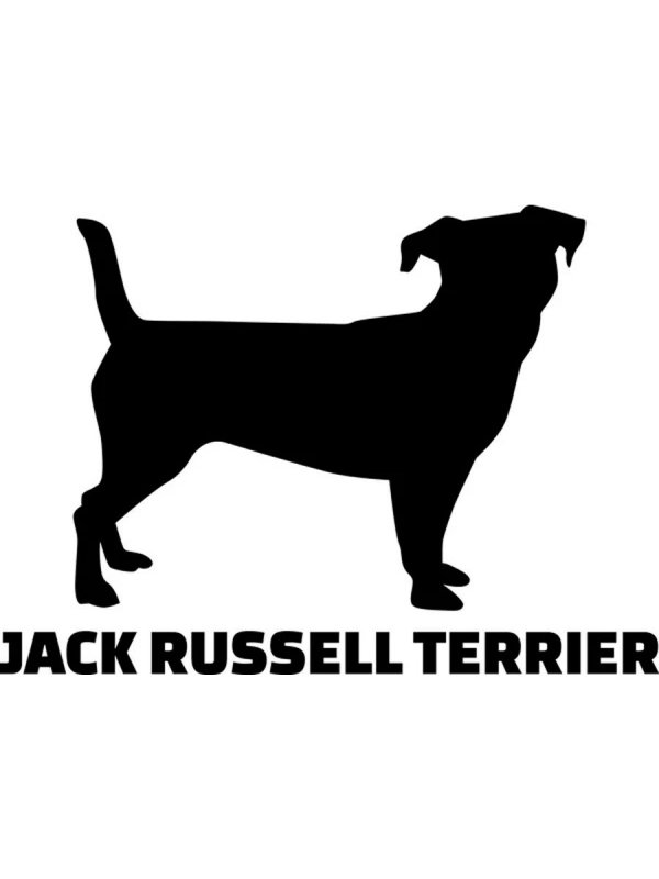 Силуэт Джек Рассел терьера