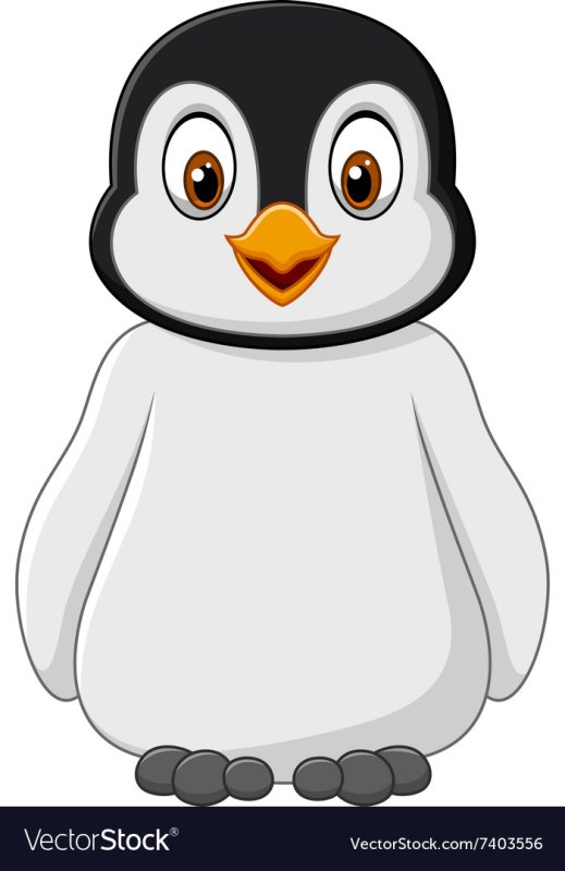 Мордочка пингвина