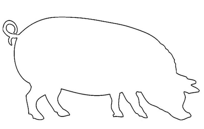 Трафарет свиньи