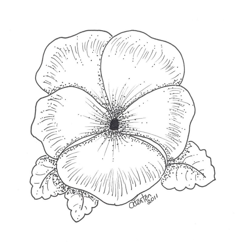 Анютины глазки трафарет