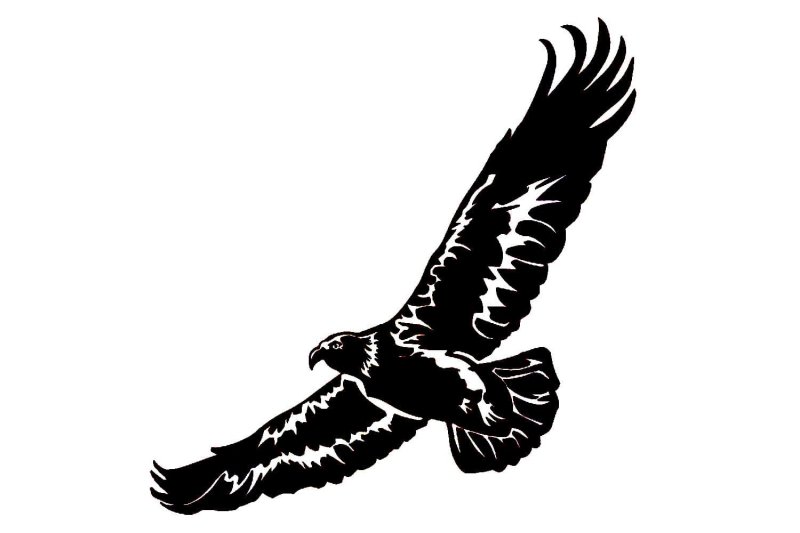 Силуэт орла