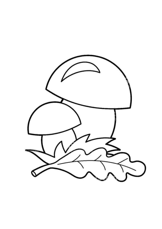 Трафареты осенних грибов