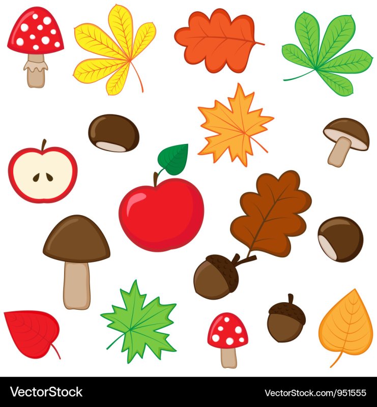 Листики осенние грибочки