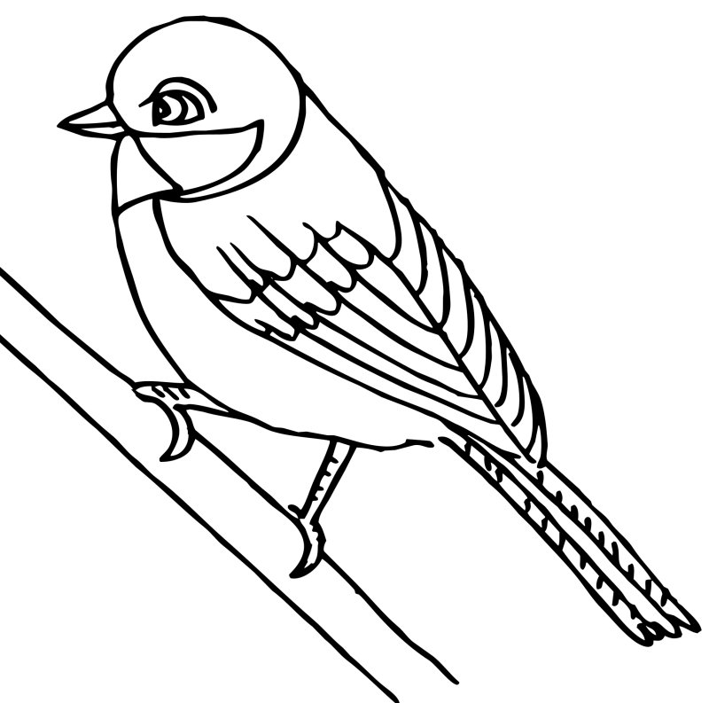 Синичка раскраска для детей