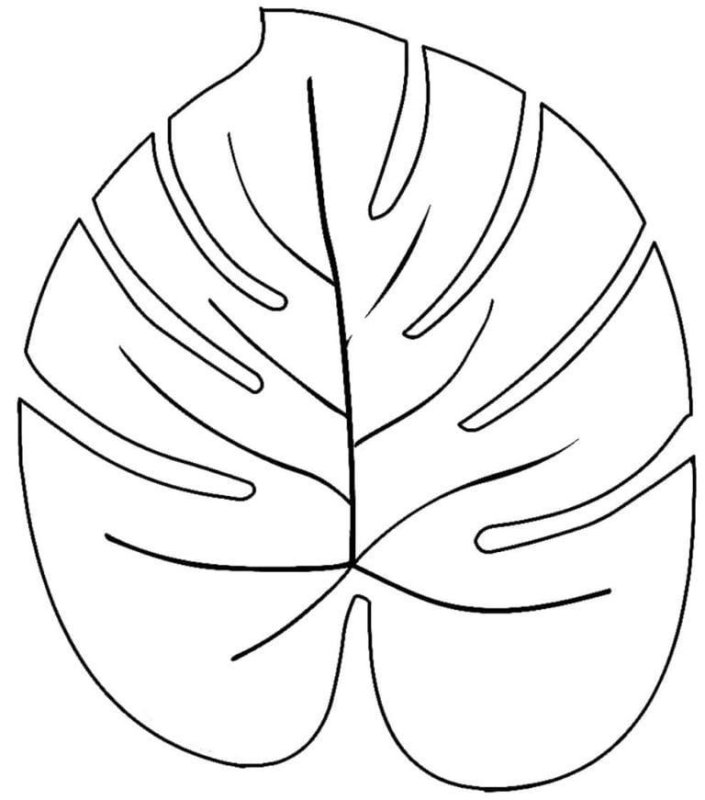 Трафареты экзотических листьев
