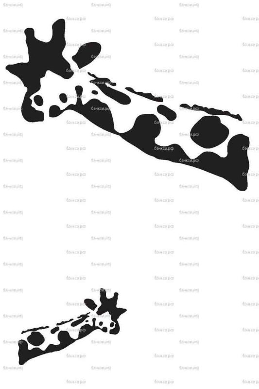 Жираф выглядывает