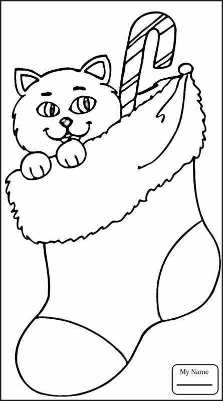 Раскраска новогодний котик в носке