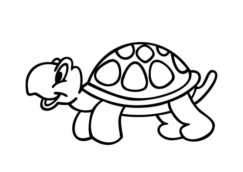 Черепашка раскраска для детей