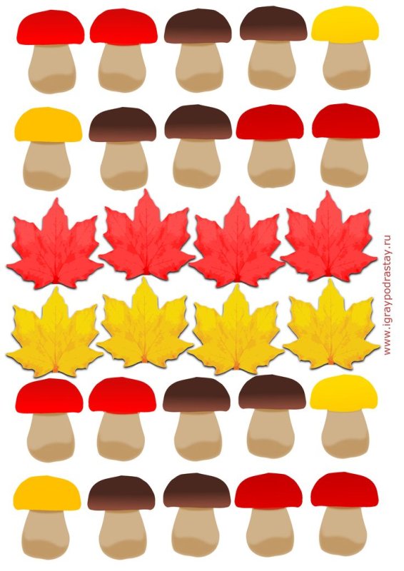 Раздаточный материал грибы