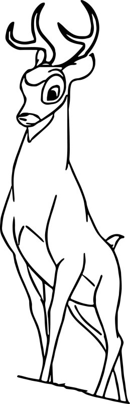 Олененок Бэмби раскраска