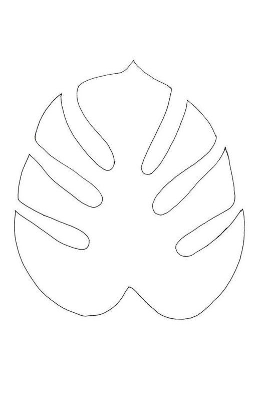 Лист монстеры трафарет а4