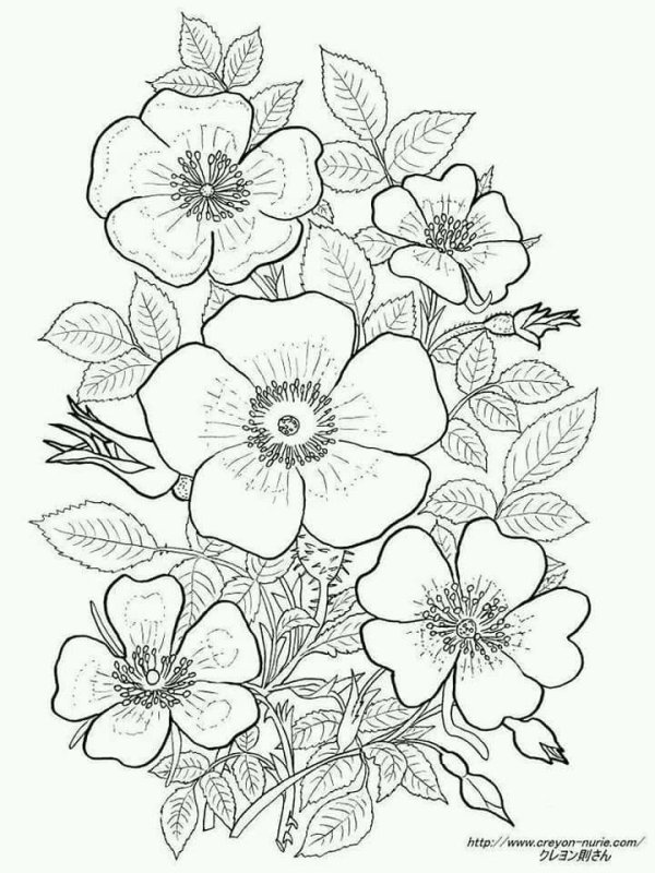 Цветы для выжигания по дереву