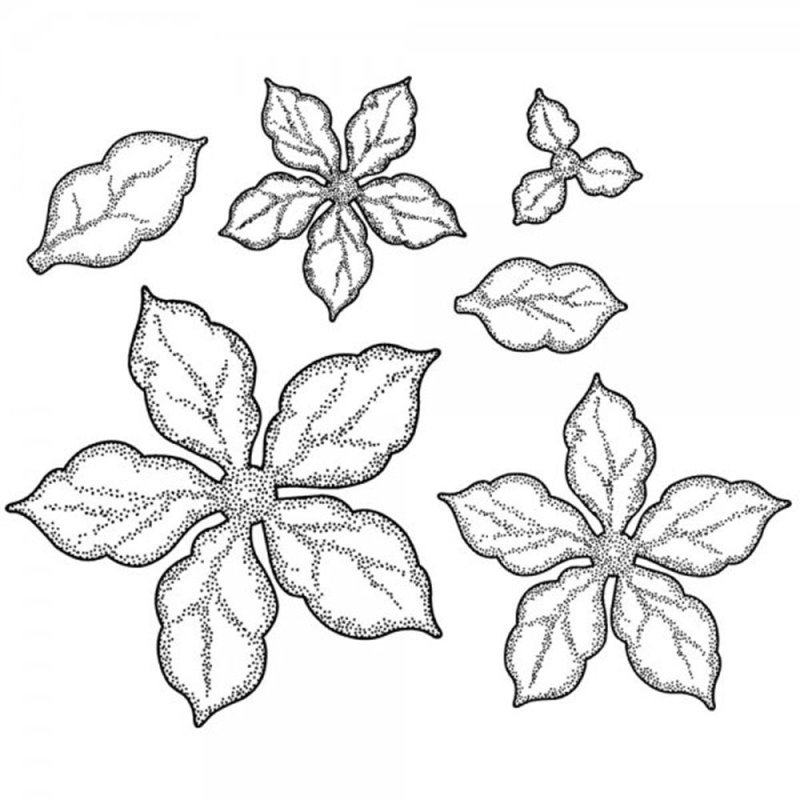 Шаблон цветка пуансетии