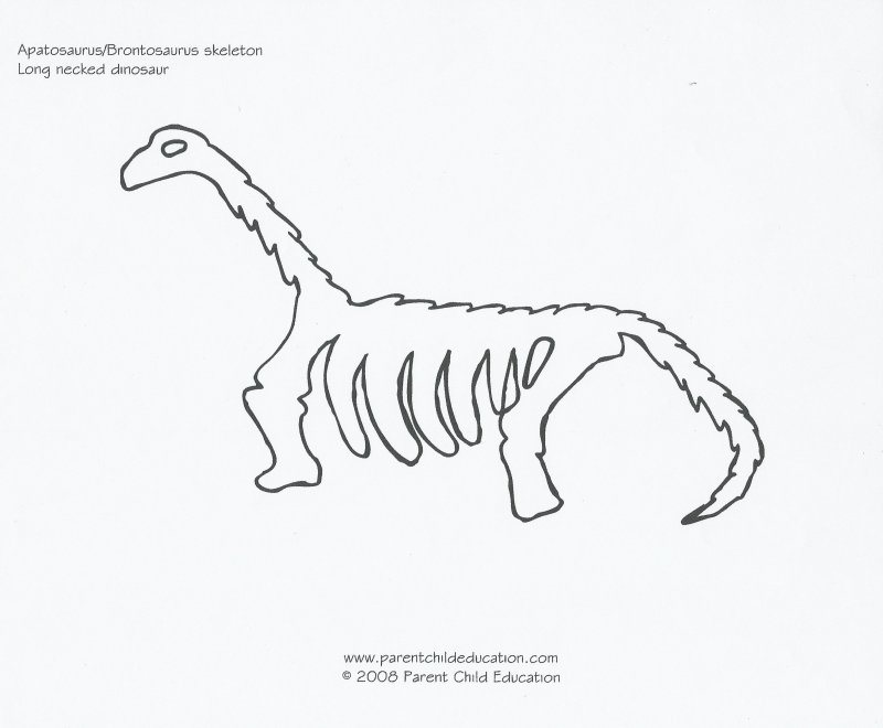 Разукрашки динозавры скелеты