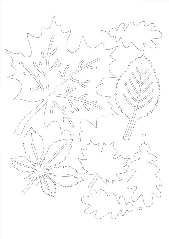 Вытынанка осенние листочки