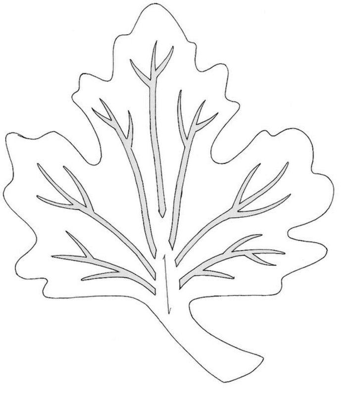 Осенние листья трафареты для вырезания