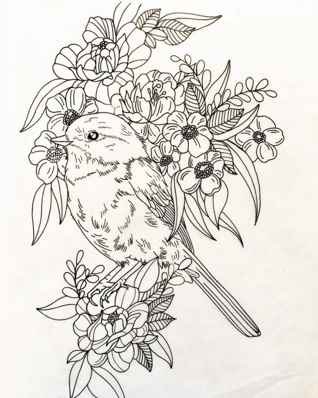 Птицы для выжигания