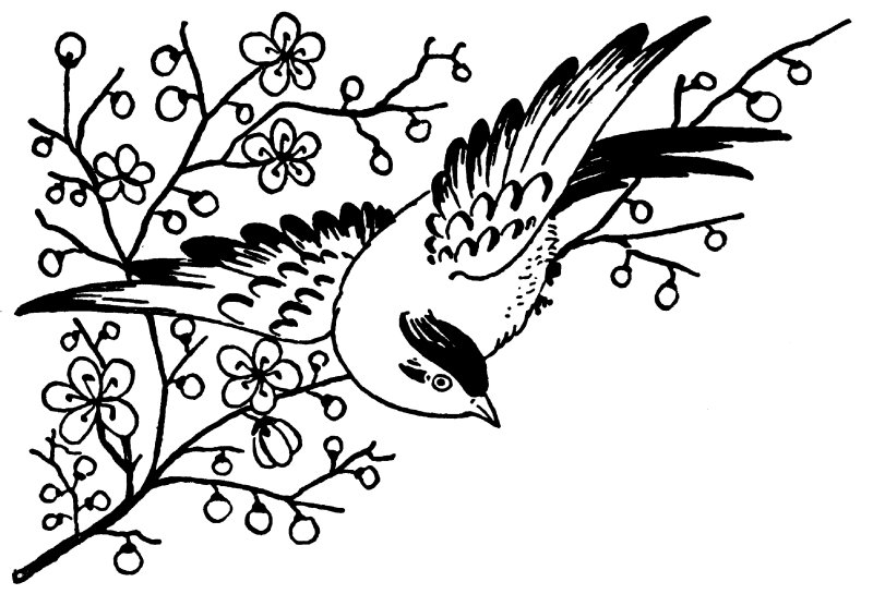 Рисунки для выжигания