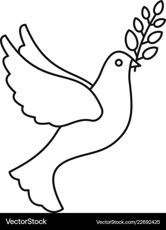 Голубь раскраска для детей