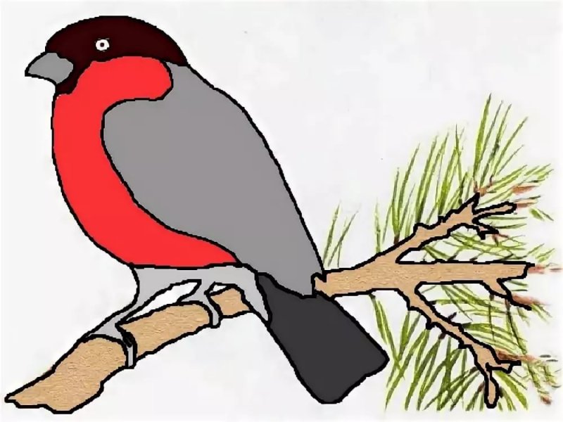 Снегири на ветке для вырезания