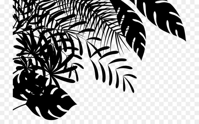 Тропические листья силуэт
