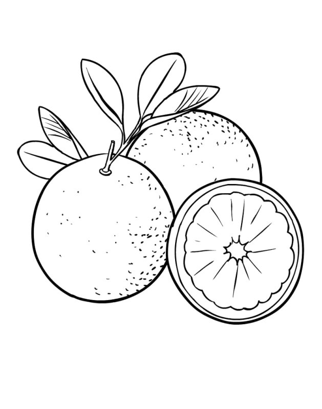 Фрукты раскраска для детей