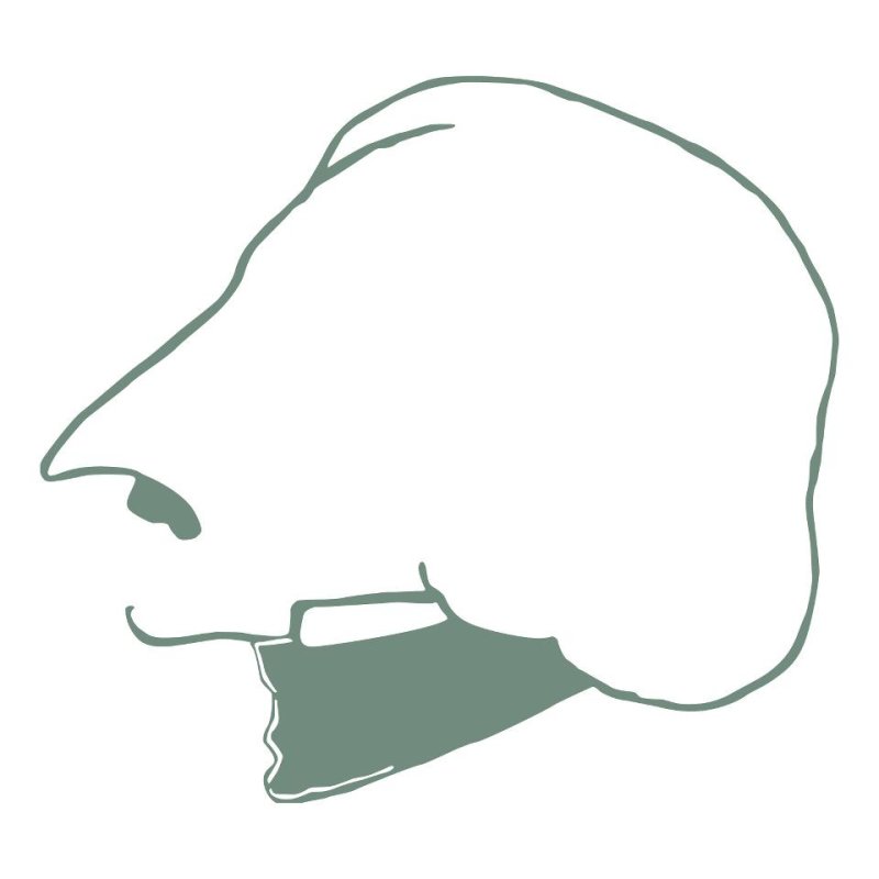 Гоголь профиль