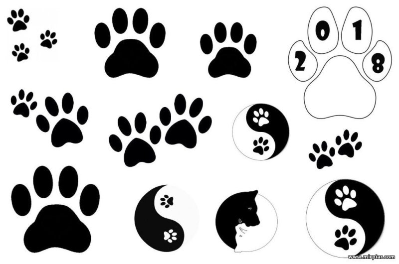 Трафарет собачьей лапки