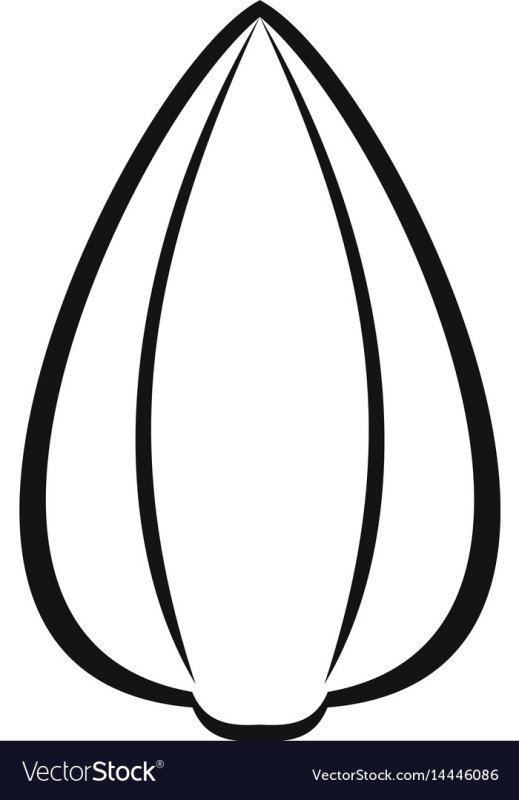 Семечки шаблон