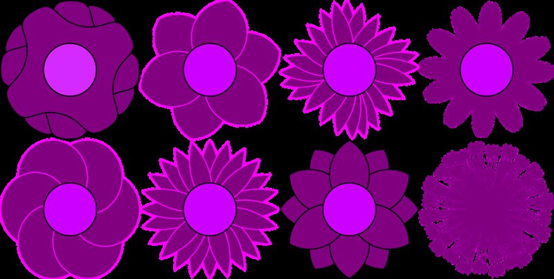 Цветок шаблон