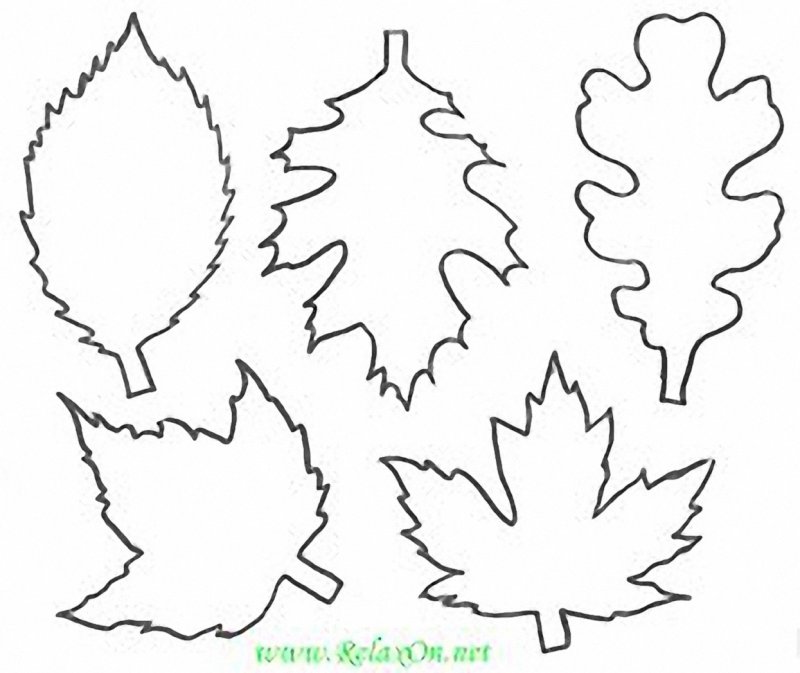 Трафарет осенних листьев