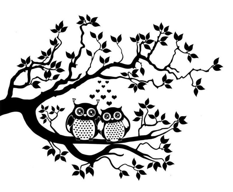 Совята на ветке