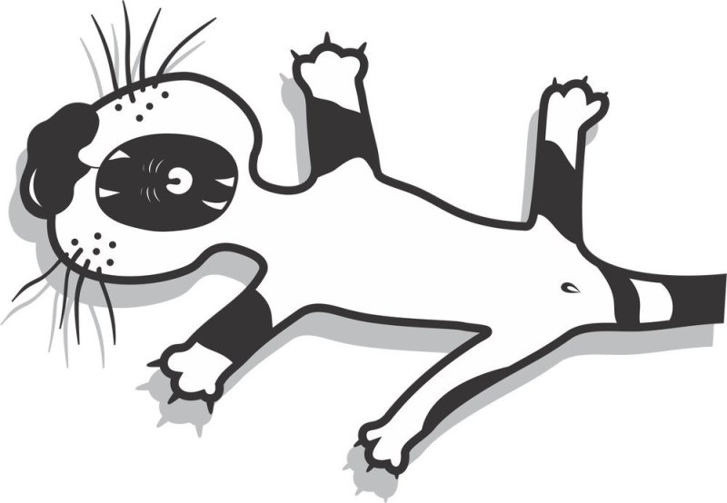 Пес из мультика жил был пес на белом фоне