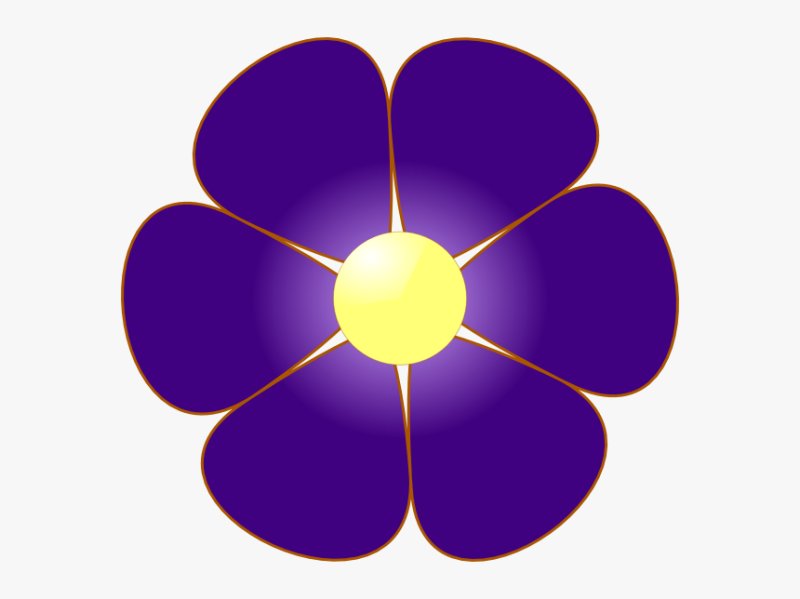 Трафареты цветов цветные