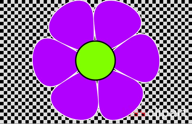 Цветы с круглыми лепестками