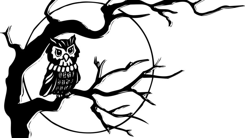 Совушки на ветке