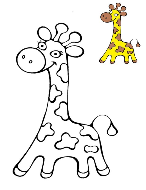 Жираф. Раскраска