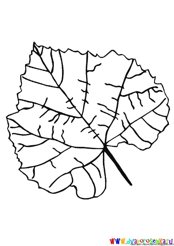 Осиновый лист раскраска