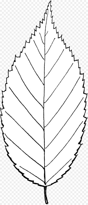 Осиновый лист трафарет