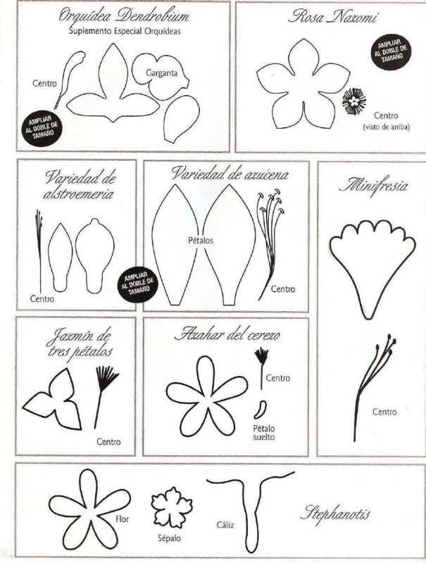 Шаблон цветка для лепки