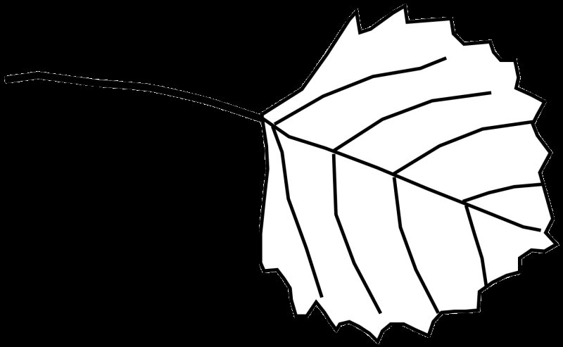 Трафареты "листья"