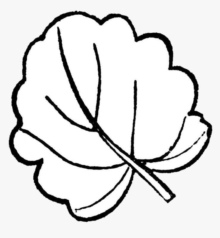 Осиновый лист раскраска для детей