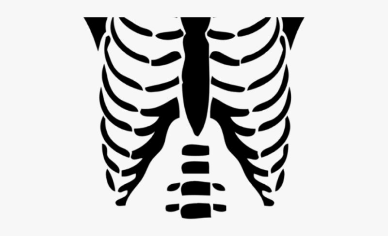 T-Shirts Roblox рёбра