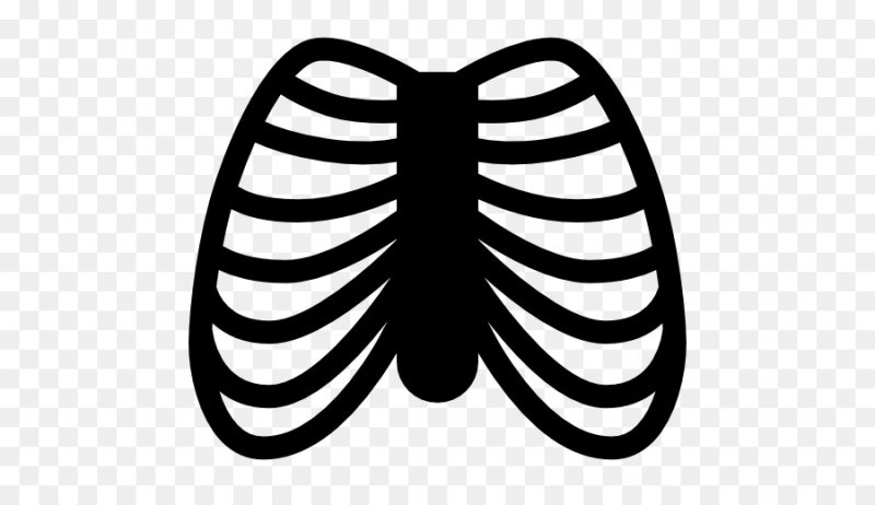 Ребро символ