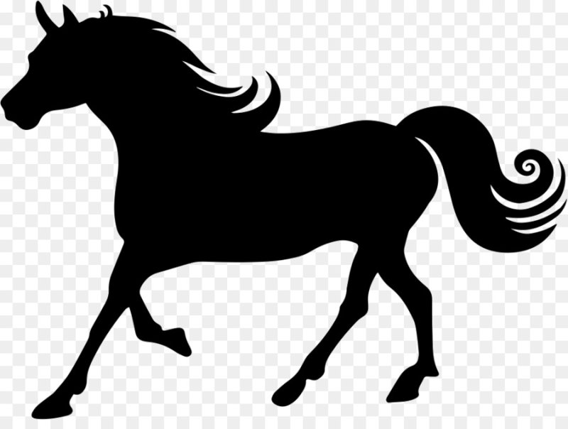 Силуэты животных лошадь