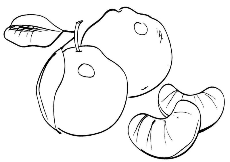 Мандарин раскраска